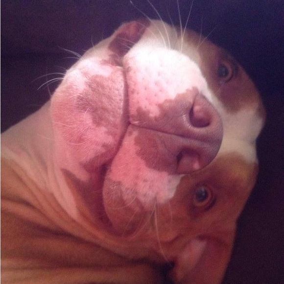 Meet your Posher, Christine - Picture 2 of 16